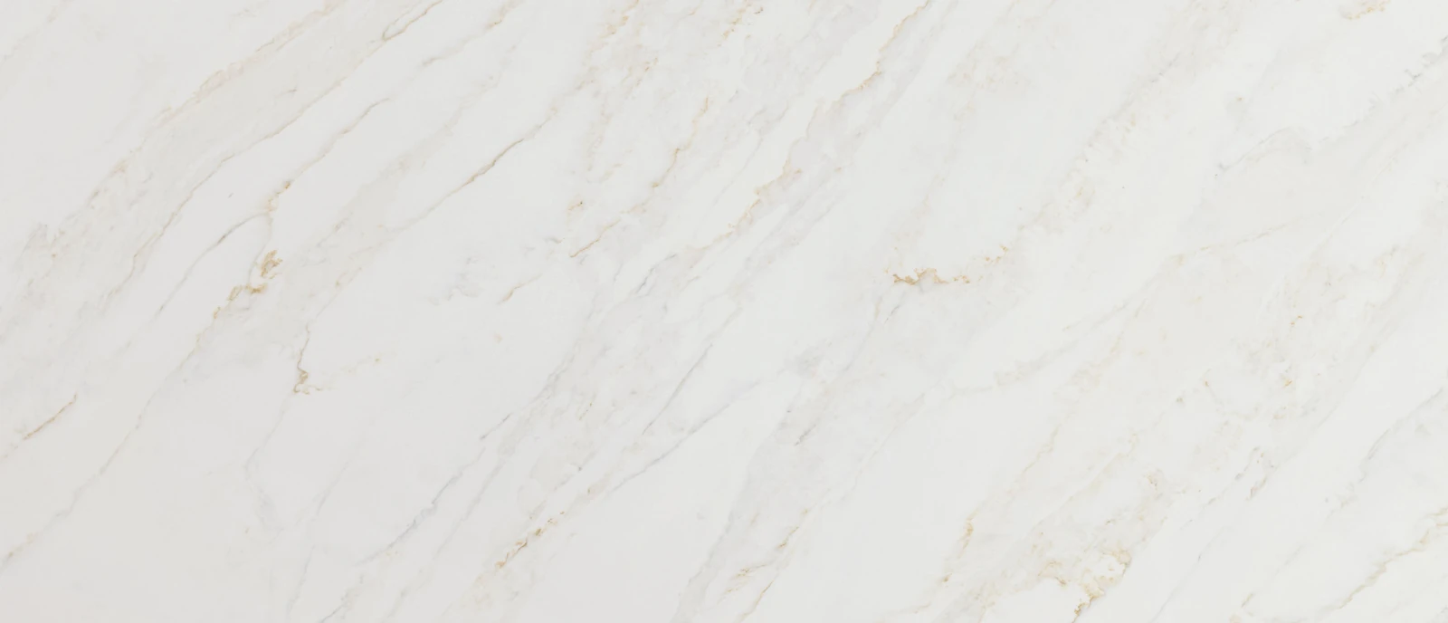 Calacatta Premata Sample