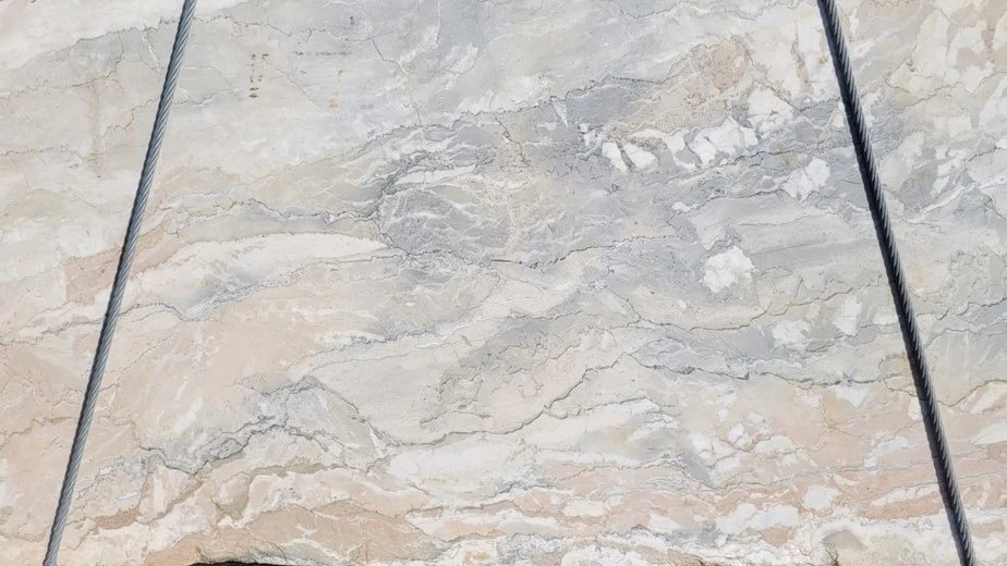 Catalog image for DOLCE VITA LEATHER MARBLE 2CM
