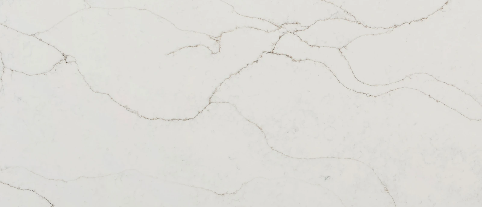 Calacatta Prado Q Surface Sample