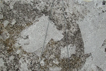 NIVEOUS 3/4 THICK POLISHED — supplier catalog image