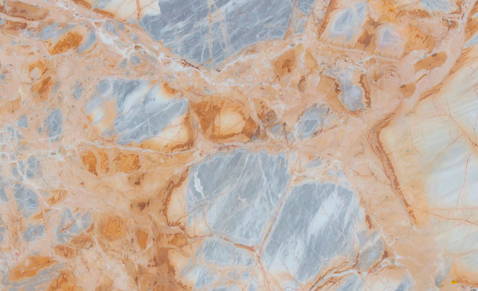 Breccia Medicea — supplier product image