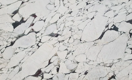 Viola — supplier product image