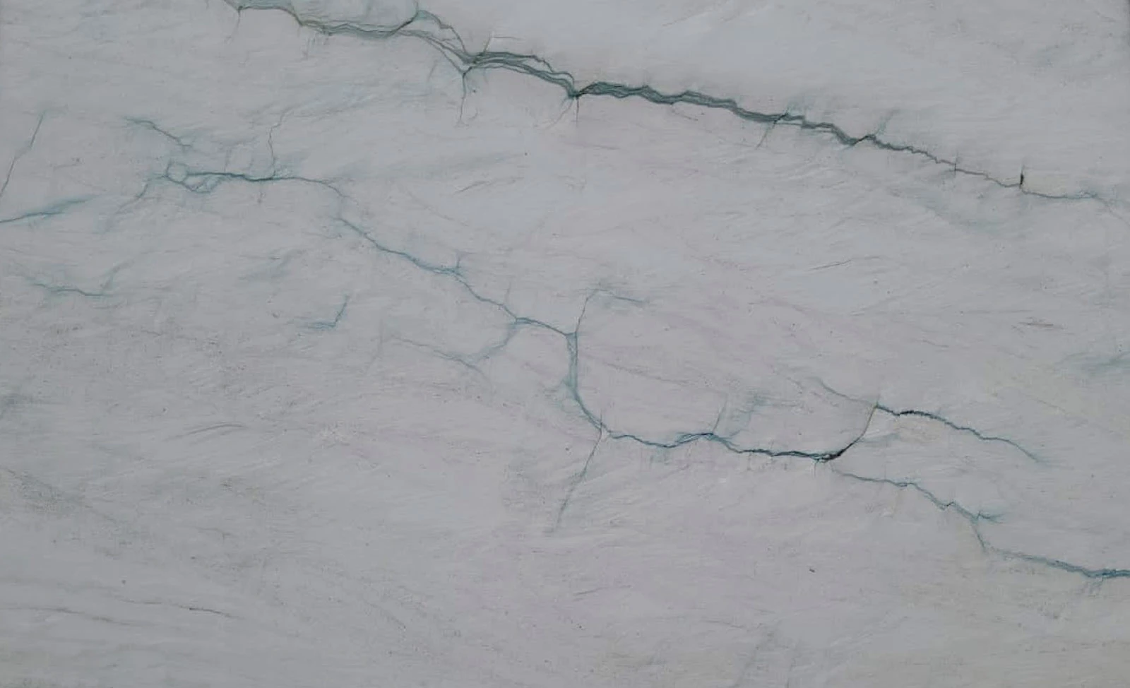Audacia — supplier product image
