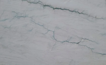 Audacia — supplier product image