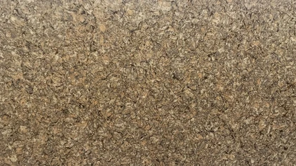 Catalog image for COPPER BEACH POLISHED NOVA 2CM STD 120X56.5