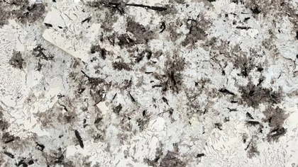 Catalog image for ROYAL WHITE POLISHED GRANITE 2CM
