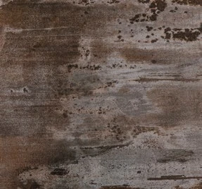 Trilium — official supplier catalog image