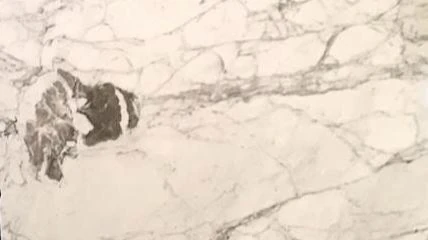 Catalog image for CALACATTA MEZZA MACCHIA POLISHED MARBLE 2CM