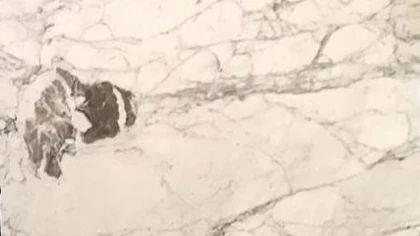 Catalog image for CALACATTA MEZZA MACCHIA POLISHED MARBLE 2CM