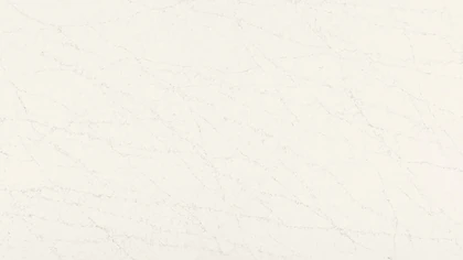Catalog image for DREAMY CARRARA HONED 2CM STD 120X56.5