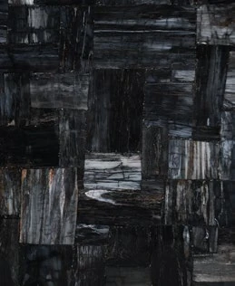 Petrified Wood Black — official supplier catalog image