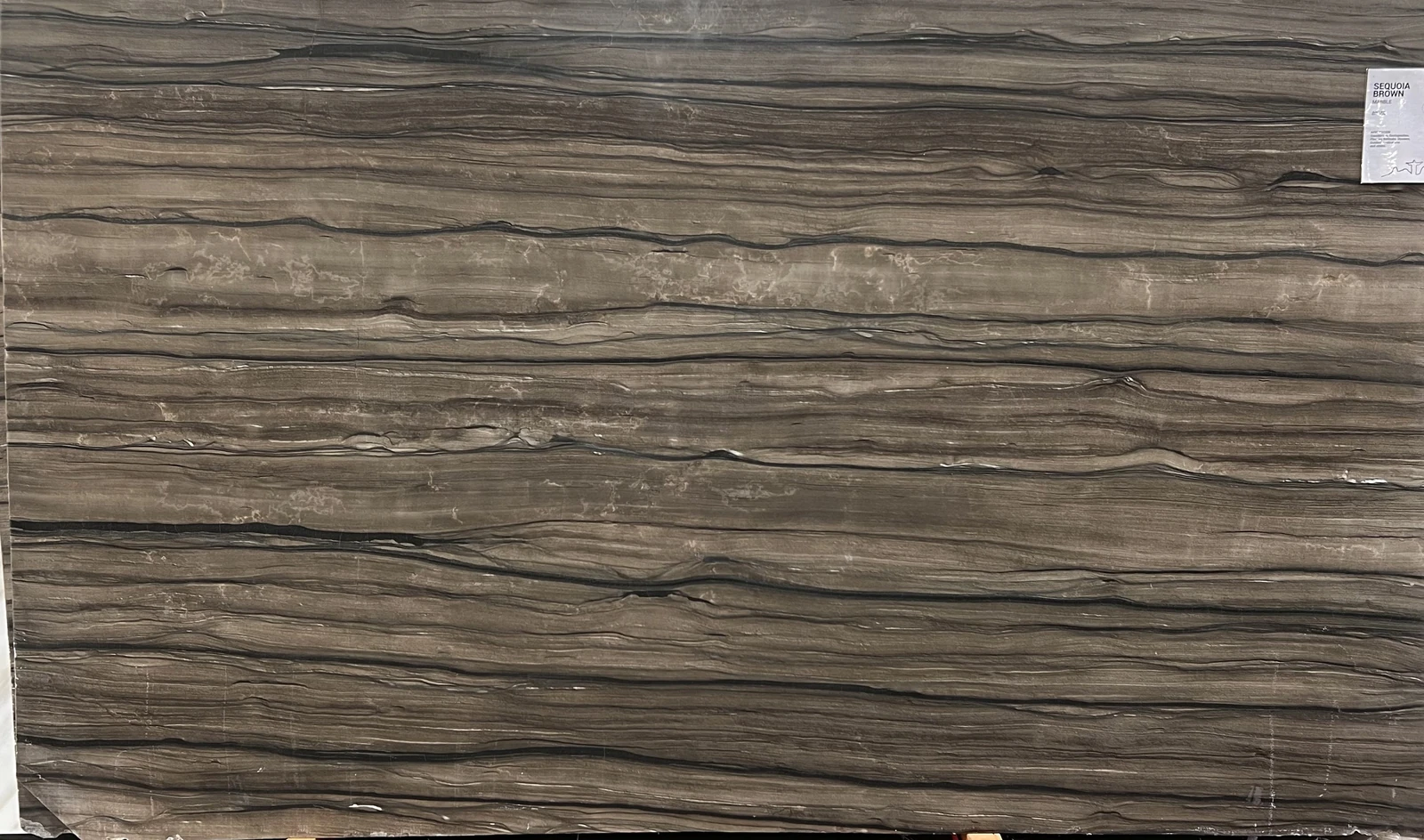 SEQUOIA BROWN 2CM LEATHER (DOLOMITE) — supplier catalog image