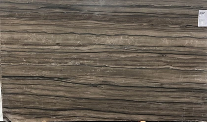 SEQUOIA BROWN 2CM LEATHER (DOLOMITE) — supplier catalog image