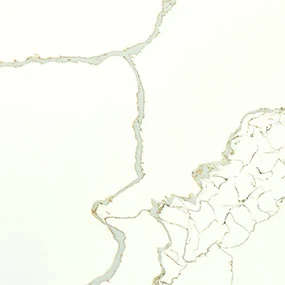 New Calacatta Laza Gold Quartz Slab Sample