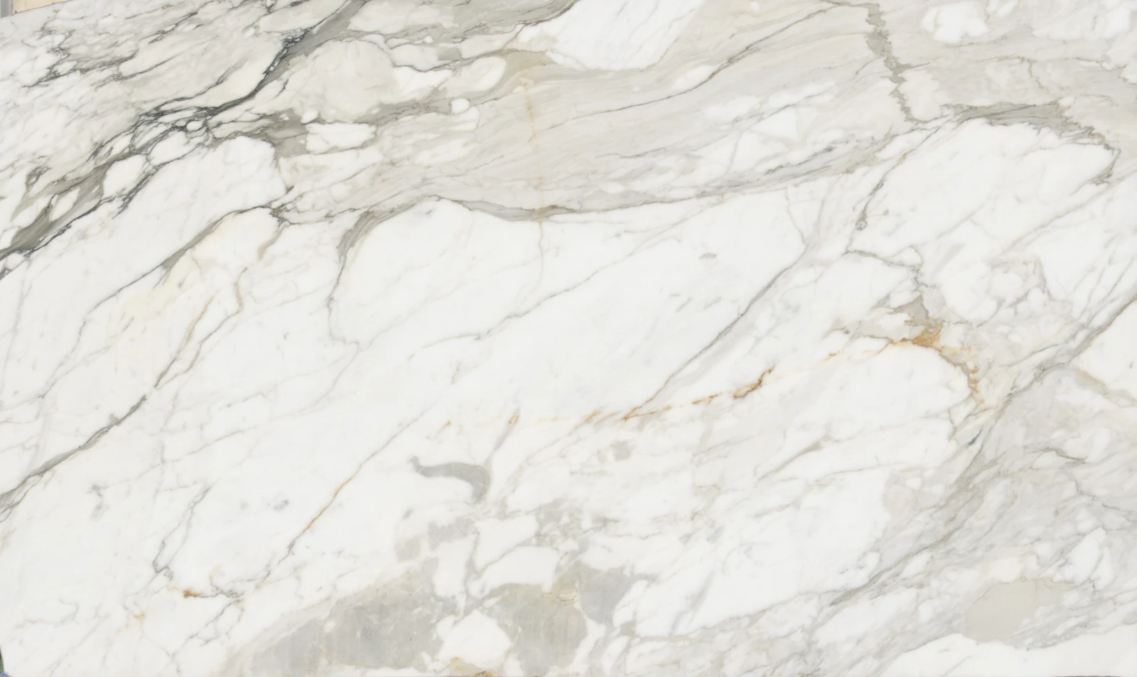 CALACATA BORGHINI 2CM HONED — supplier catalog image