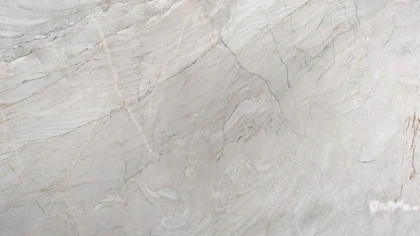 Catalog image for WHITE TAJ LEATHER QUARTZITE 2CM