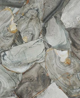 Jasper Shellflint — official supplier catalog image