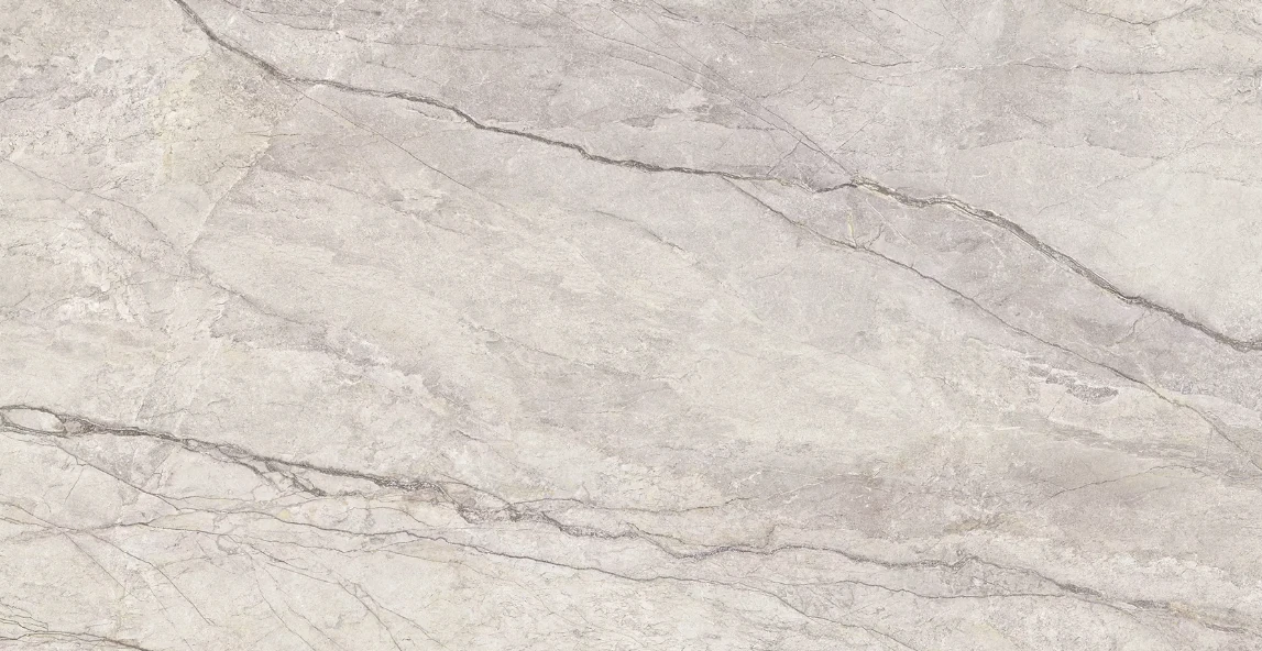 Catalog image for SILVER ROOTS BRUSHED PORCELAIN 12MM B 128X64