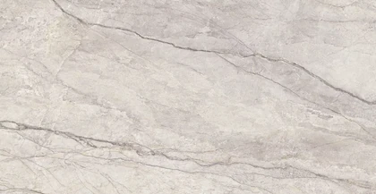 Catalog image for SILVER ROOTS BRUSHED PORCELAIN 12MM A 128X64