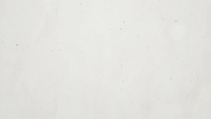 Catalog image for CAPRI HONED LIMESTONE 2CM