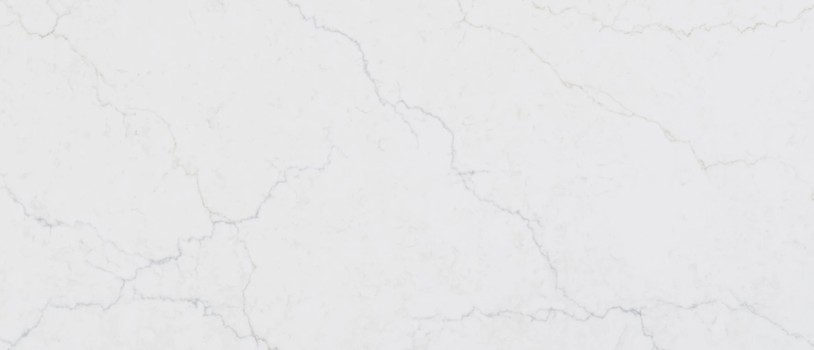 Calacatta Miraggio Duo Quartz Sample