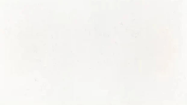 Catalog image for MIAMI VENA POLISHED SILESTONE 2CM JUMBO 128X63
