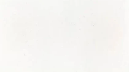 Catalog image for MIAMI VENA POLISHED SILESTONE 2CM JUMBO 128X63