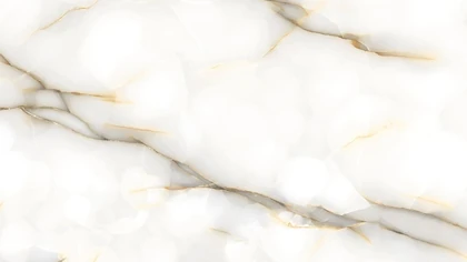 Catalog image for ONYX PERLA POLISHED PORCELAIN 12MM A 128X64