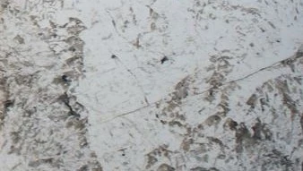 Catalog image for COPENHAGEN POLISHED GRANITE 2CM