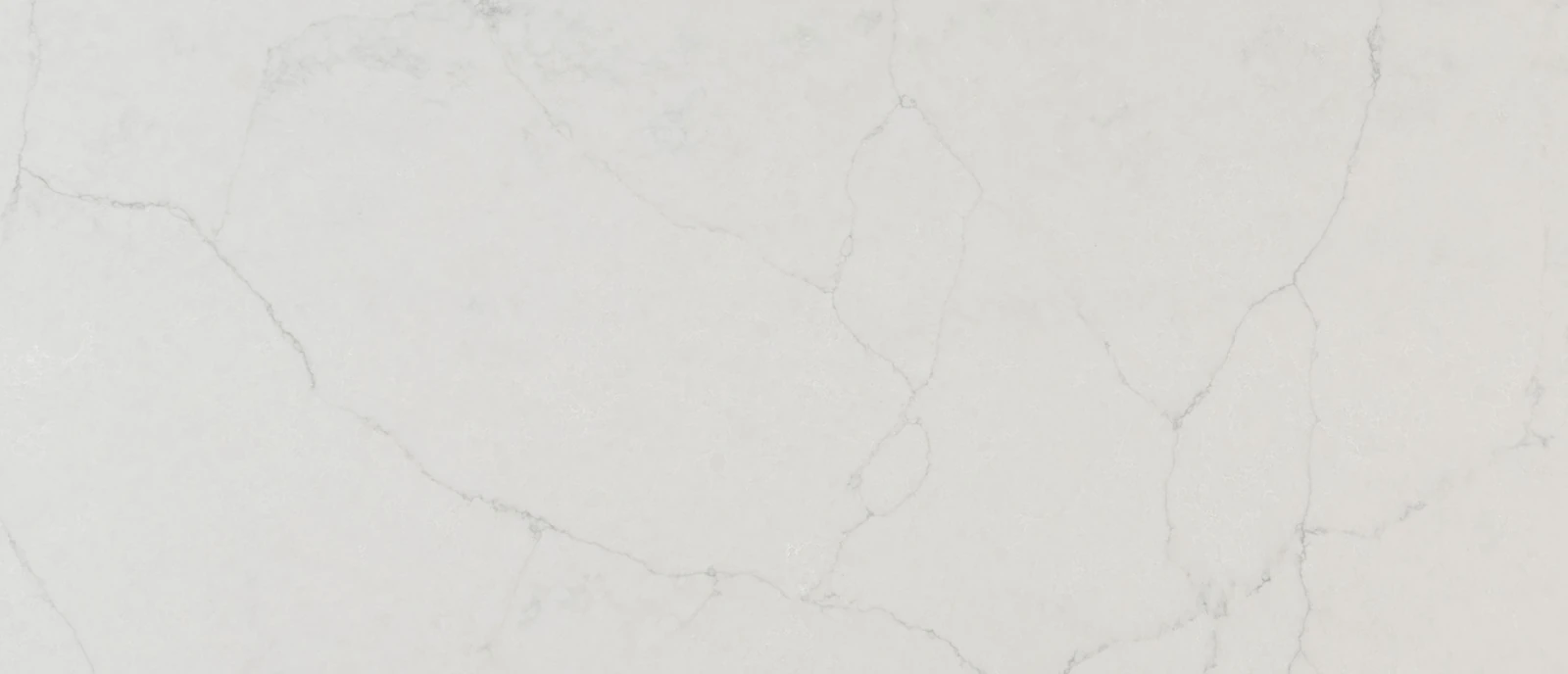 Calacatta Monaco Q Surface Sample
