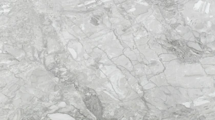 Catalog image for ALBA PIETRA BRUSHED MARBLE 2CM