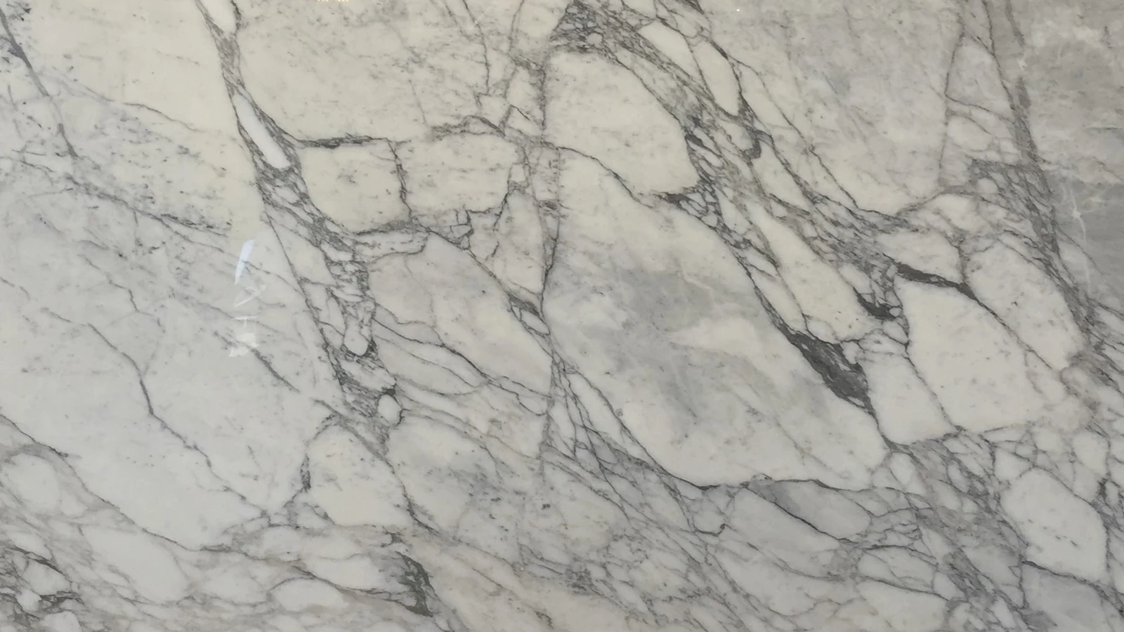 Catalog image for CALACATTA GOLD LUX POLISHED PORCELAIN 12MM A 128X64