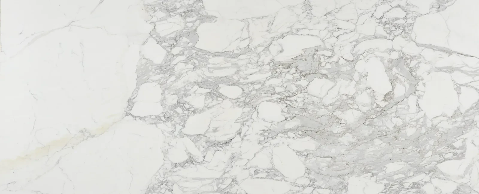 Calacatta Betogli Extra Honed - Full Slab