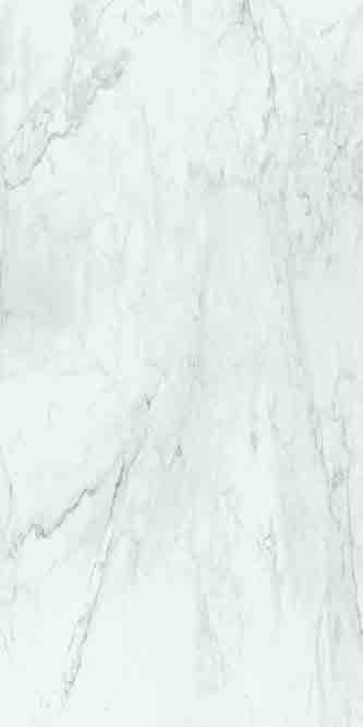 MARBLE CALACATTA — official supplier catalog image