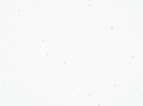 Ghiaccio White Revera quartz catalog swatch