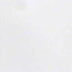 Elegant White