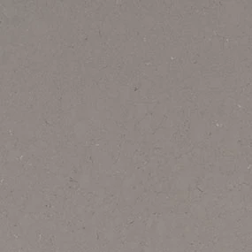 Fossil Gray Quartz Sample