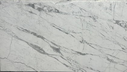 STATUARIO 2CM HONED — supplier catalog image