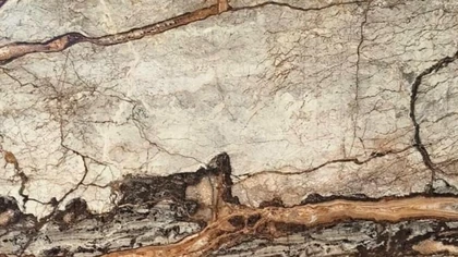 Catalog image for EL DORADO LEATHER MARBLE 2CM