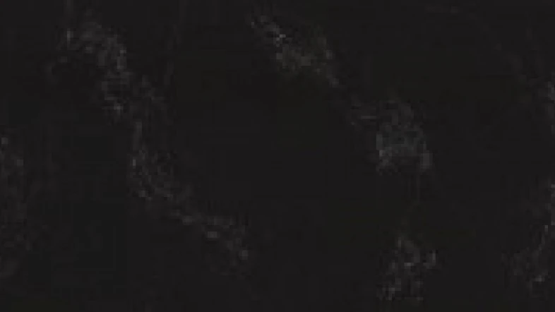 Catalog image for EMPIRA BLACK 5101 POLISHED 2CM JUMBO 131.5 X 64.5
