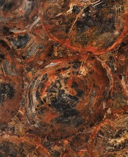 Petrified Wood Red — official supplier catalog image