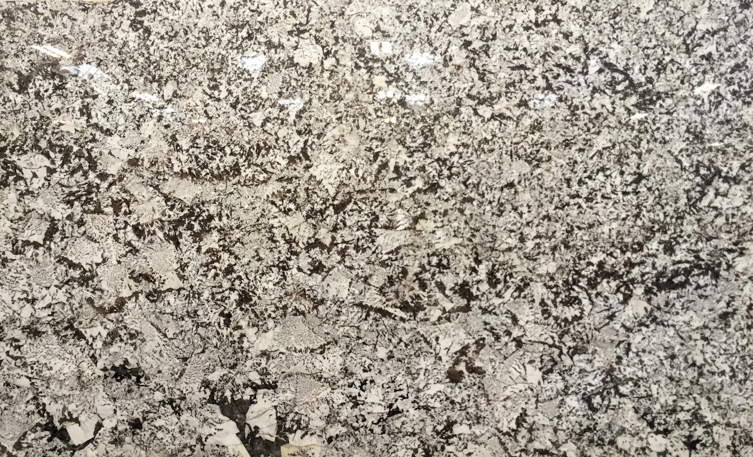 Catalog image for DALIA WHITE POLISHED GRANITE 2CM