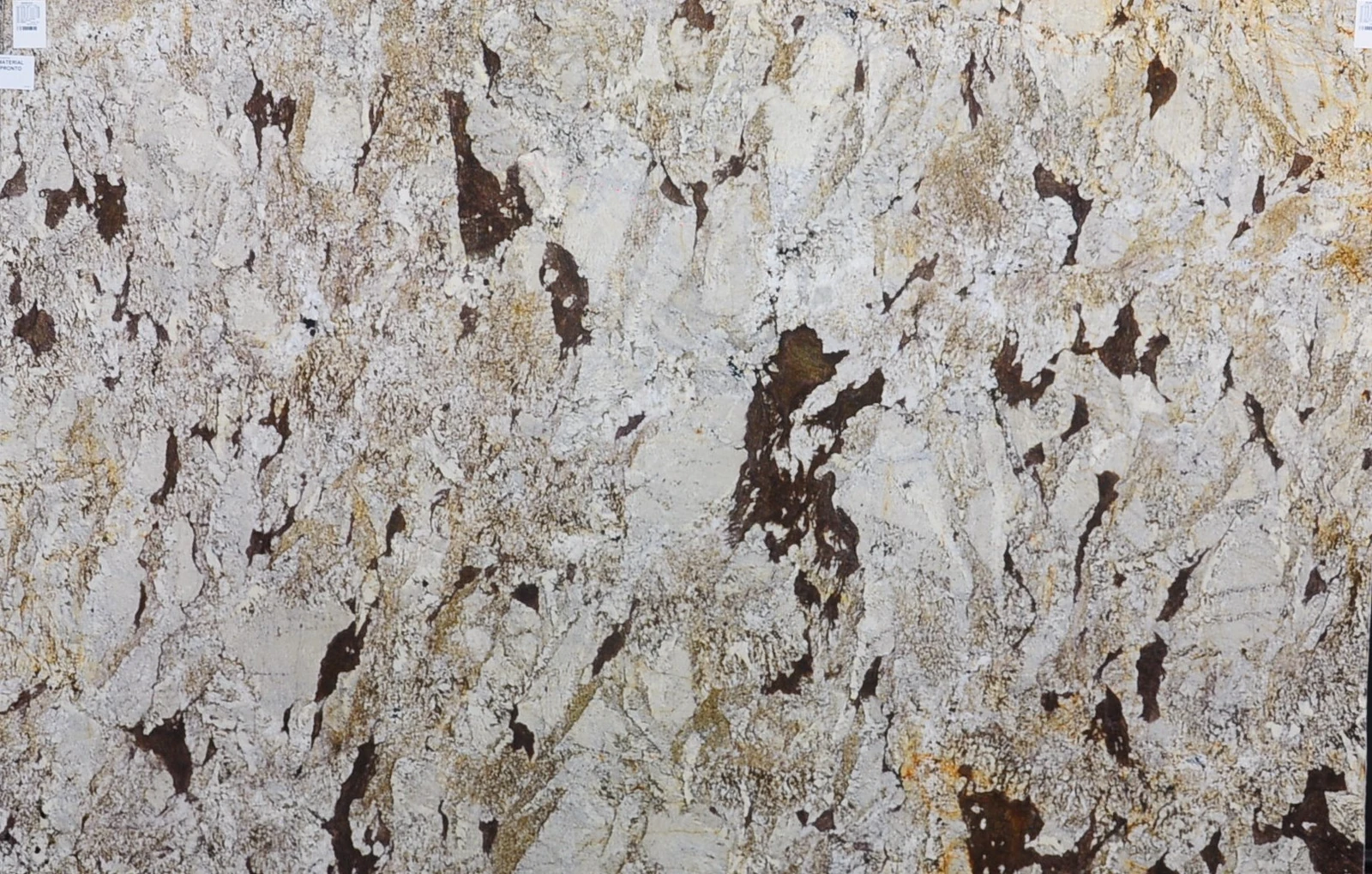 PICASSO 3CM LEATHER — supplier catalog image
