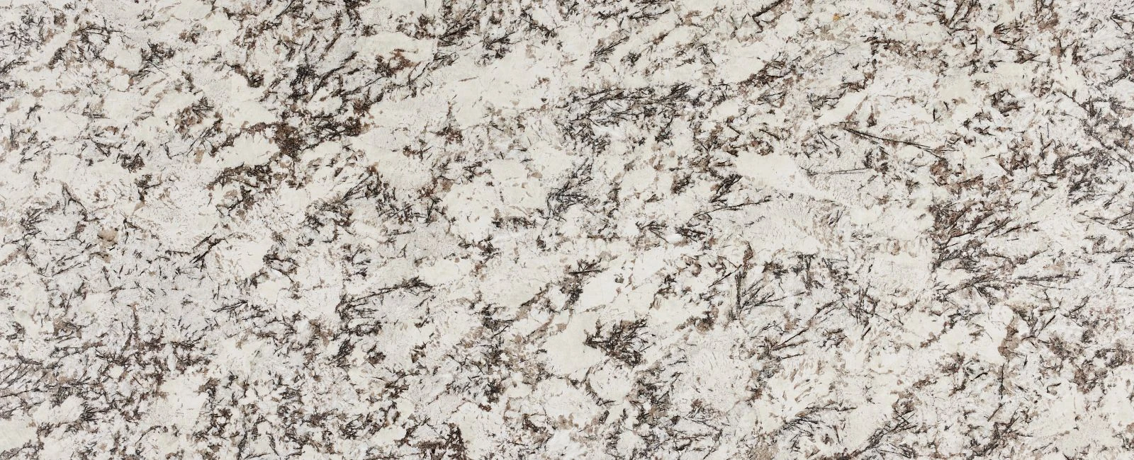 Delicatus White Polished – Full slab photo is an example of the structure and color of this product, which will vary.