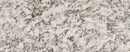 Delicatus White Polished – Full slab photo is an example of the structure and color of this product, which will vary.