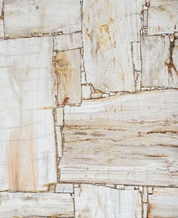 Petrified Wood Ivory — official supplier catalog image