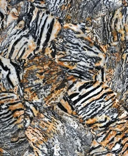 Jasper Tiger — official supplier catalog image