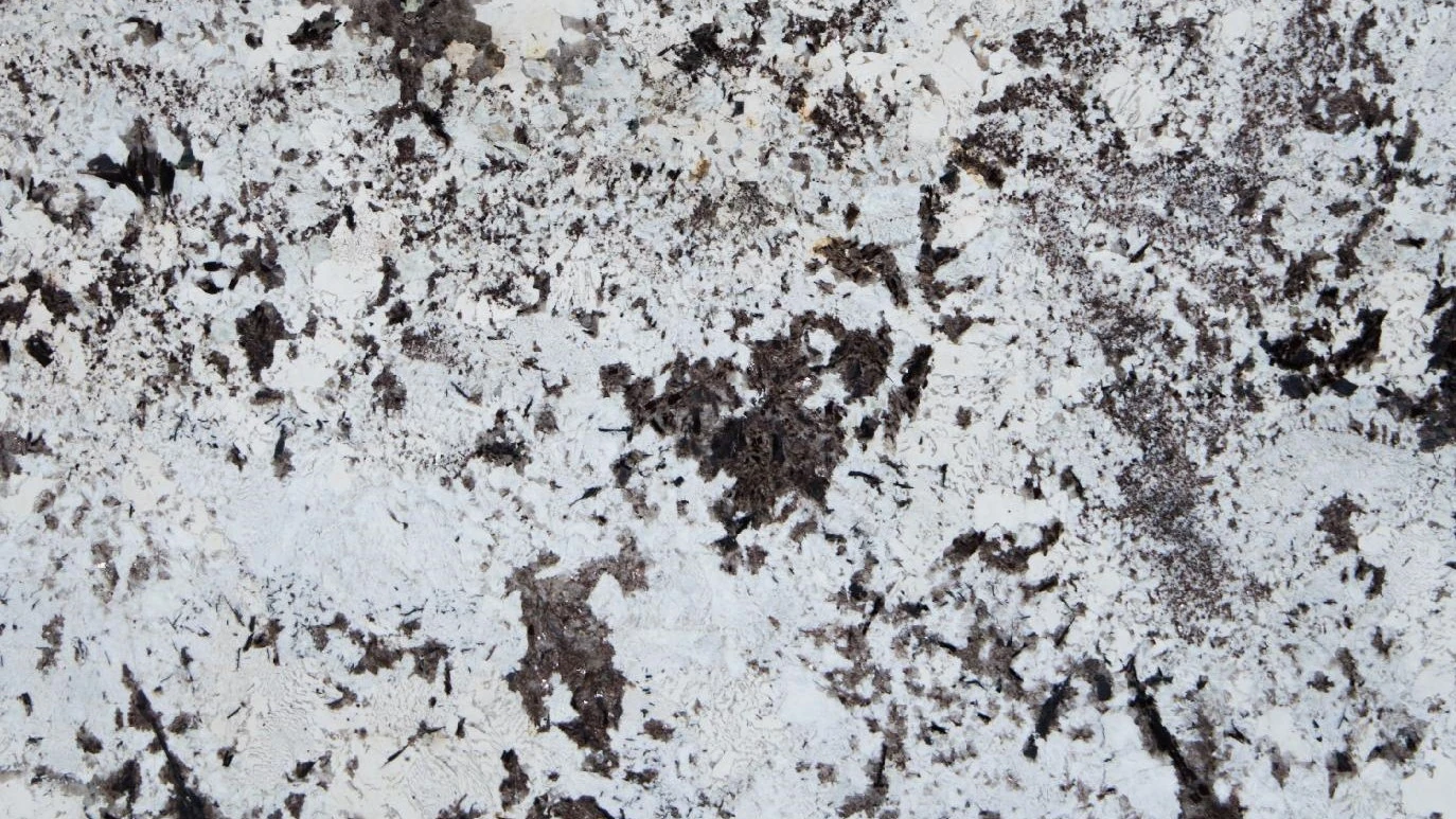 Catalog image for WHITE VIENA LEATHER GRANITE 2CM