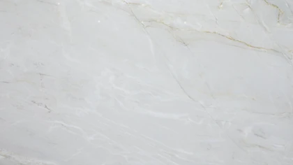 Catalog image for BIANCO SUPERIOR POLISHED QUARTZITE 2CM