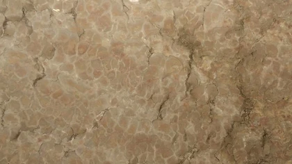 Catalog image for MARMORE CREMA GOLD POLISHED MARBLE